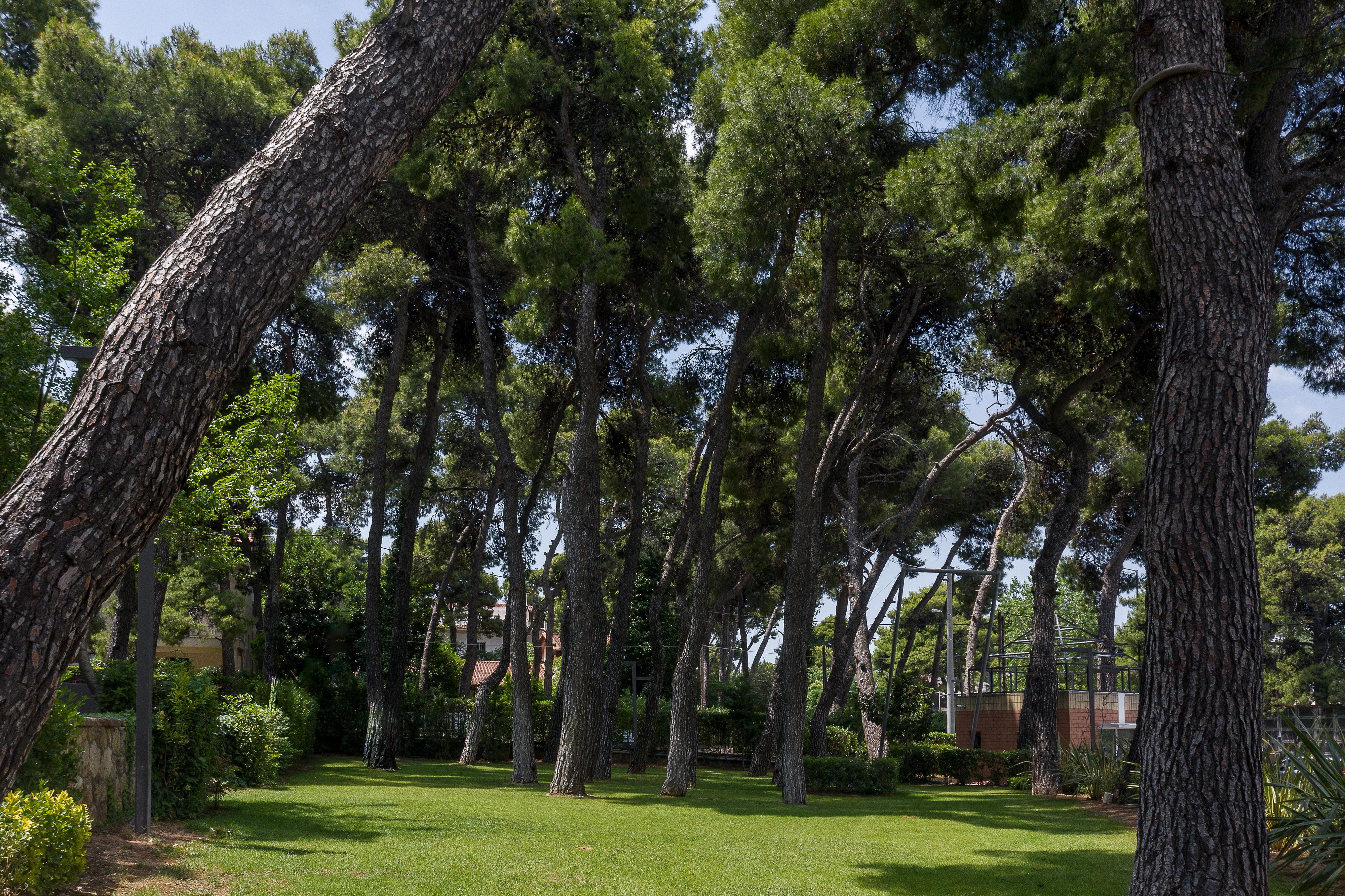 Domotel Kastri Atenas Exterior foto